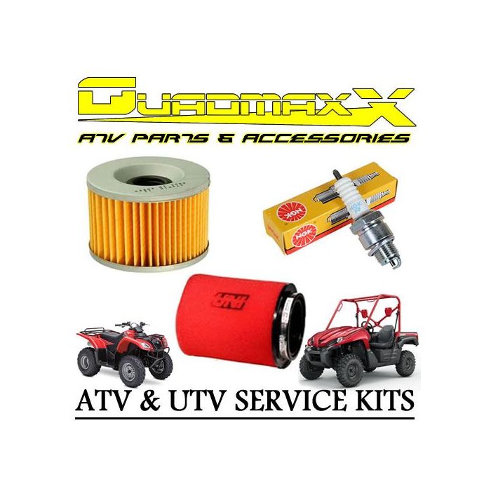 Honda TRX250 Fourtrax 2x4 02-24 Basic Quad Service Kit