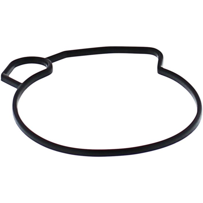 Float Bowl Gasket Only To Fit Arctic Cat Can-Am Polaris Various Models 01-06