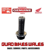 Genuine Honda BOLT,FLANGE,6X16 96001-0601607