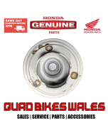 Genuine Honda OIL FILTER ELEMEN 15412-HB6-003