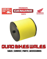 Genuine Honda Genuine Honda TRX500 Foreman Air Filter 17254-HP0-A00 17254-HP0-A00