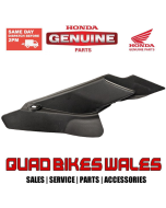 Genuine Honda COVER 61896-HP0-A00ZA