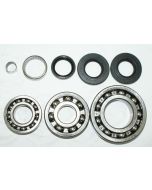 Polaris 455 Diesel 500 Scrambler Sportsman Worker Xplorer Front Differential Bearing and Seal Kit