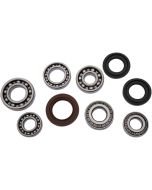 Differential Bearing and Seal Kit Rear To Fit Yamaha Kodiak 700 2017 Models