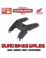 Genuine Honda GUARD, FR. PIPE *NH1 * 81170-HM8-B00ZA