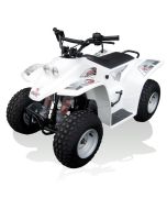 Quadzilla Buzz 50 Kids 2-Stroke 50CC Engine Quad Bike