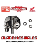 Genuine Honda CASE ASSY,THROTLE 53143-HP5-L00