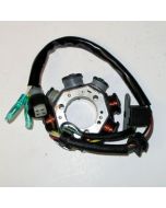 Yamaha YFB250F Timberwolf 92-93 Stator Assembly