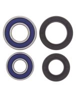 Honda TRX300 2x4 88-92 TRX250X 87-92 TRX250R 88-89 TRX300EX 93-09 Front Wheel Bearing Kit