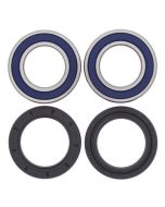 Suzuki LT LTF 250 Quad Runner 300 King Quad 2x4 4x4 88-02 Rear Wheel Bearing Kit