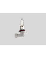 Halogen Headlight Bulb HB3 12V 60W P20D Motorcycle Quad UTV