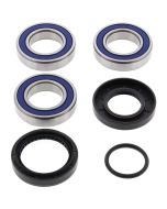 Honda TRX250 Fourtrax TRX250EX 97-17 Rear Wheel Bearing Kit
