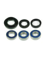 Honda 350 400 450 500 Rear Wheel Outrigger & Brake Bearing Kit A251037
