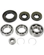 Honda TRX300 Big Red Fourtrax 88-00 Front Diff Bearing Kit