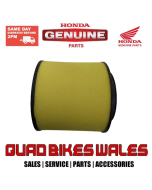 17254HN1000 ELEMENT, AIR CLEANER 420 500 Honda Genuine Part