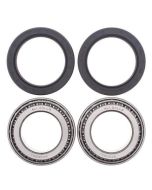 Can-Am DS650 DS650 Baja 00-07 Rear Axle Carrier Wheel Bearing Kit