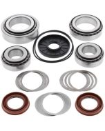 Polaris RZR 4 800 Rear Diff Bearing Kit