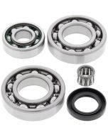 Kawasaki KLF220 88-02 KLF250 03-11 Bayou Rear Diff Bearing Kit