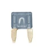 Mini Blade Fuse 2 Amp Pack Of 10