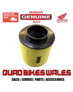Genuine Honda ELEMENT AIR CLEANER 17254-HM8-000