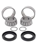 Yamaha YFM250 YFM400 99-09 Swingarm Bearing Kit