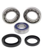 Yamaha YFM350FX Wolverine 00-05 Rear Wheel Bearing Kit