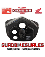 Genuine Honda COVER ASSY. HANDLE *NH1 53204-HN1-A40ZA