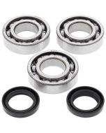 Crank Bearings To Fit Polaris Trail Blazer Boss Xplorer 250 2x4 4x4 99-06 Models