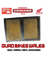 Genuine Honda SCREEN,OIL FILTER 15421-ZE9-003