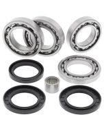 Arctic Cat Widcat 1000 13-15 Rear Diff Bearing Kit