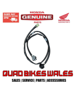 Genuine Honda SOCKET COMP TAIL 33720-HP0-A01
