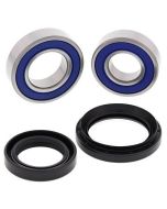 Honda TRX420 500 2x4 07-13 Front Wheel Bearing Kit