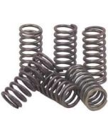 CSK081 EBC High Performance Clutch Spring Kit