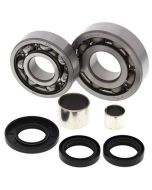 Polaris 500 325 Magnum Xpediition Front Differential Bearing and Seal Kit
