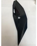 SWM L/H SIDE PANEL WITH KEY HOLE (SUPERDUAL) - F000P01096