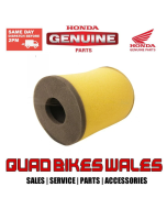 Genuine Honda ELEMENT,AIR CLEAN 17254-HB3-770