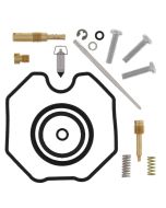 Arctic Cat 250 DVX 2006-2007 Carb Repair Kit