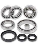 Can-Am Outlander Renegade 16-17 Rear Diff Bearing Kit