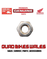 Genuine Honda TAPPET ADJUSTING NUT 90206-250-000