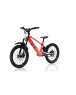 Revvi 20" Kid's Electric Bike