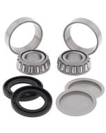 Honda 250 300 350 400 450 500 & Polaris 200 Swingarm Bearing & Seal Kit