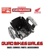 Genuine Honda CASE,AIR CLEANER 17210-HR6-A60
