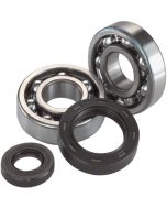 Kawasaki KXT250 Tecate 84-87 Crank Bearing And Seal Kit