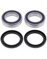 Kawasaki KEF300 KFX250 KXT250 Rear Wheel Bearing Kit