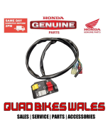 Genuine Honda SWITCH ASSY. LIGHTING & 35200-HM8-B00