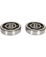 Suzuki LT-R450R 06-09 HotRods Main Bearing and Seal Kit