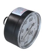 Fimco Parts 2 in Dry Back Mount Gauge ABS Stem 100psi 5167097
