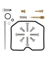 Arctic Cat 250 DVX 2008 Carb Repair Kit