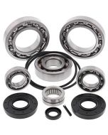 Differential Bearing and Seal Kit Rear To Fit Kawasaki TERYX 750 08-13 Models
