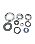 Suzuki LTA LTF 500 01-03 Rear Differential Bearing and Seal Kit